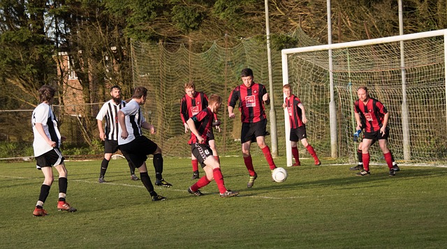 拜仁的穩定 拜仁的穩定