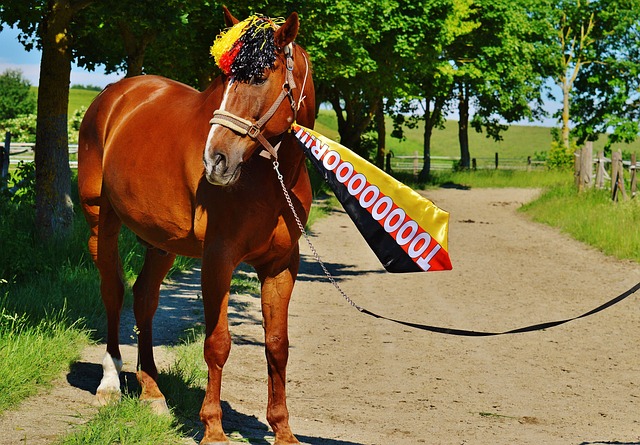 在确保财政 在确保财政