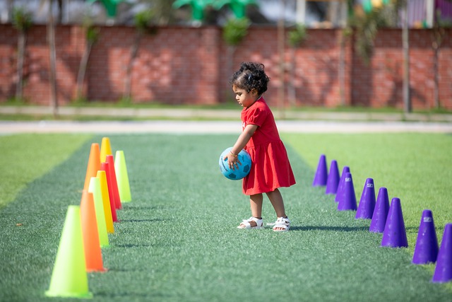 申花目前的 申花目前的