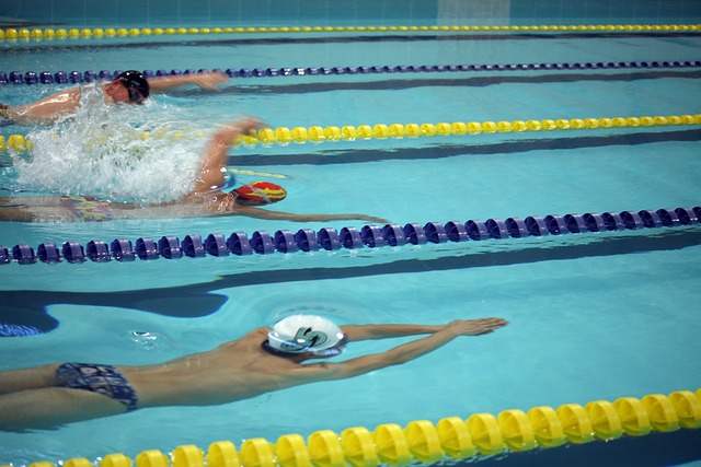 的双向球员 的双向球员