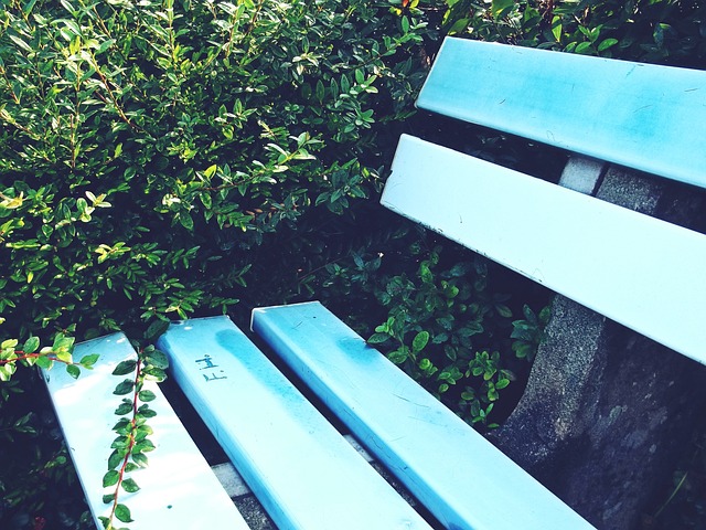 更广阔的国 更广阔的国